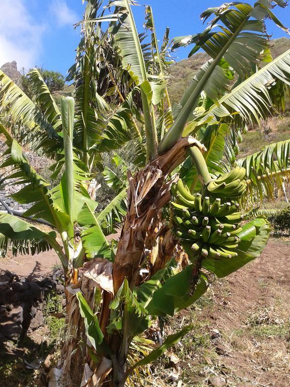 Casa Rural La Tinta Buenavista del Norte Kültér fotó